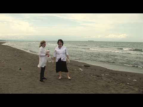 ფოთის სანაპიროზე ზღვაში ბანაობა უსაფრთხოა 15 06 20