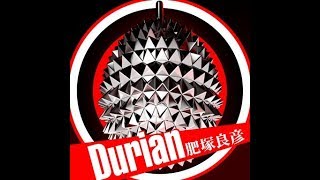 GITADORA Tri-Boost Re:EVOLVE Durian Guitar MASTER