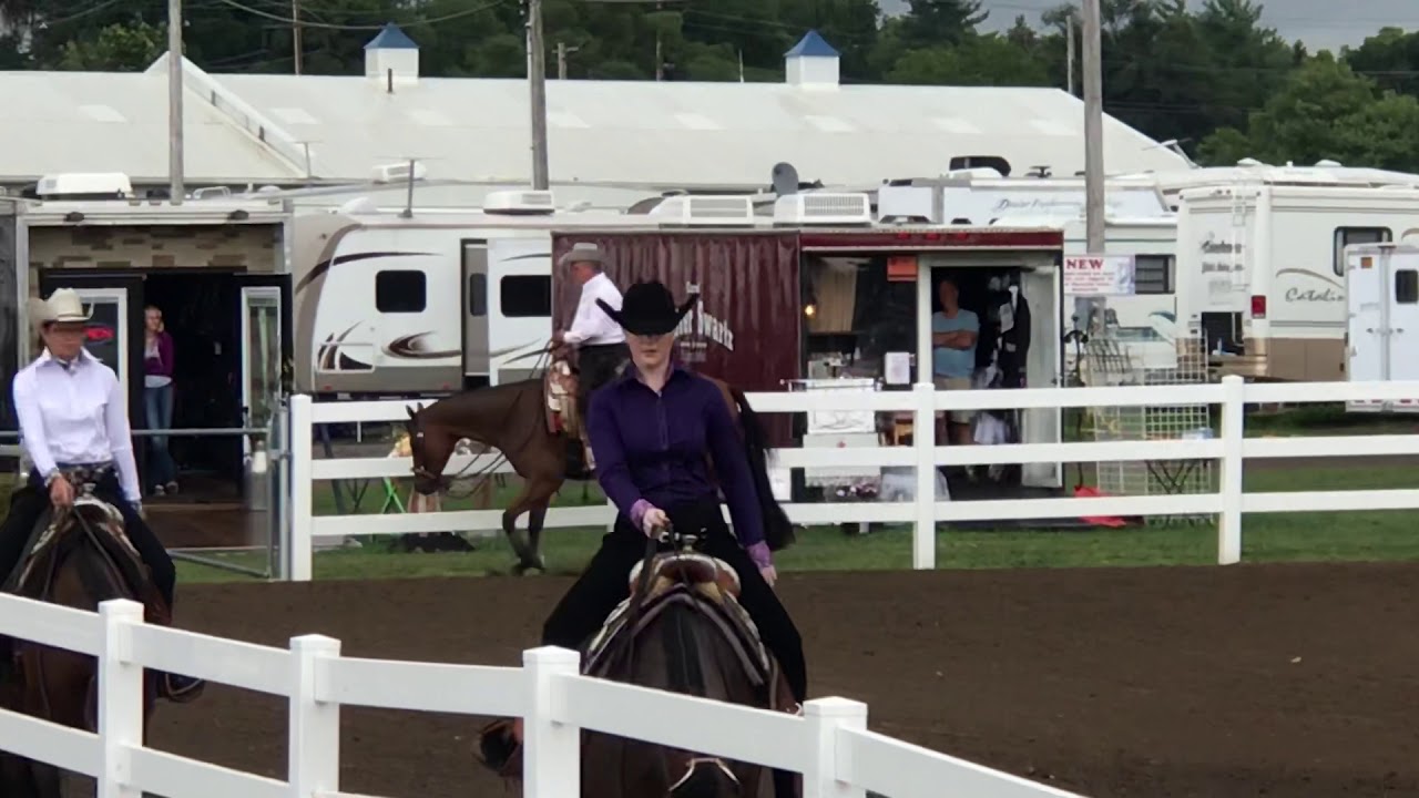 Invited to Hotrod, 2016 Gelding, AQHA, For Sale, Western Pleasure, August 2018 YouTube