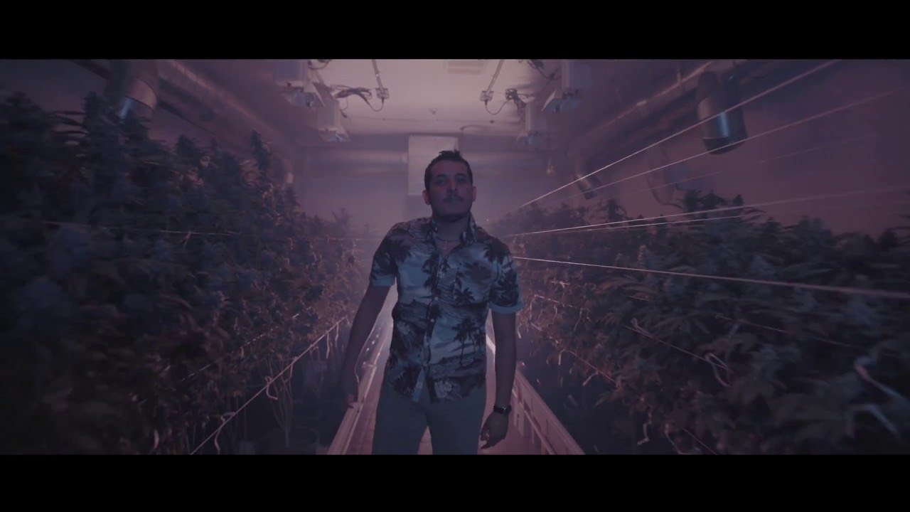 Watch Me Gusta Lo Verde - Omar Ruiz [Video Oficial] on YouTube