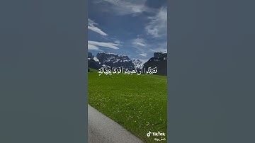 طبقة صوت لتلاوة القرآن الكريم لا يصدق