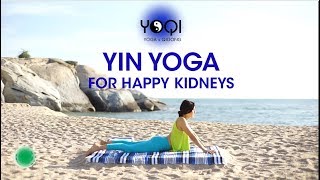 Yin Yoga for Happy Kidneys by Yoqi Yoga and Qigong 263,092 views 6 years ago 48 minutes