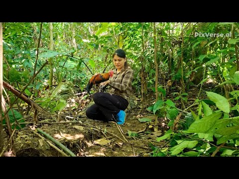 Ellie Trieu Brave Girl Journey To Trap Chickens In The Deep Forest