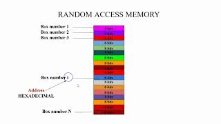 Celebrity Memory Allocation in C langage Net Worth