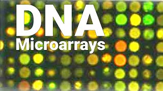 DNA Microarrays - Cancer Gene Expressions - Pharmacogenomics - YouTube