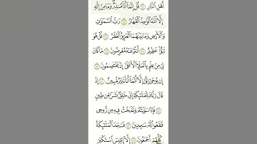 #ايات من سورة ص بصوت القارئ الشيخ ياسر الدوسري