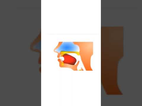 مخارج الحروف مخرج حرف الجيم الشيخ أيمن السويد