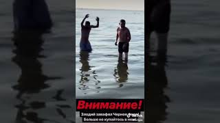 Внимание! Черное море подверглось биологической атаке