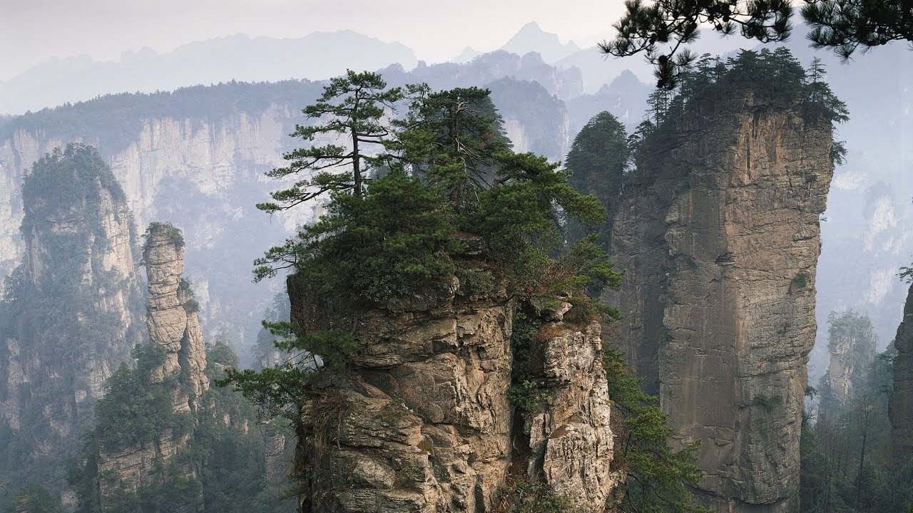 Фото горы дерево на горе Tianzi Mountains - YouTube