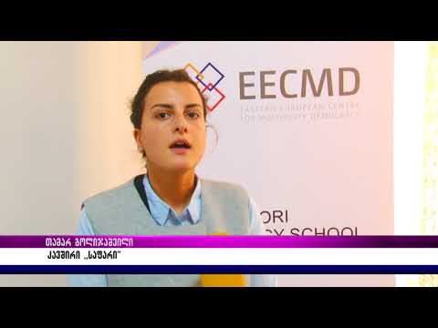 გორში ევროკავშირთან ასოცირების ხელშეკრულებით ნაკისრი ვალდებულების შესრულების ანგარიში წარადგინეს