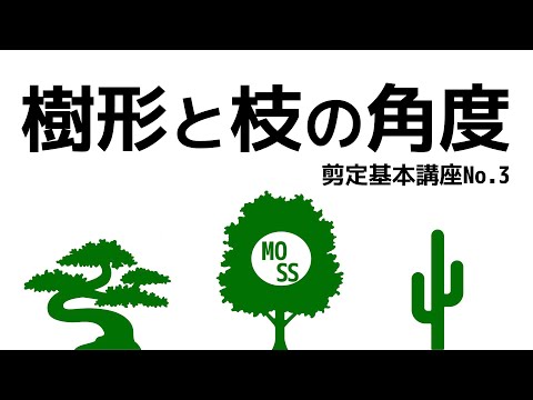 【剪定基本講座No.3】樹形と枝の角度【庭木の剪定】