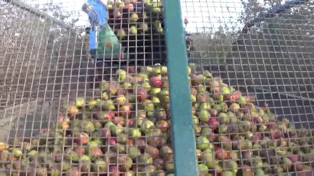 SFM Technology Cider Apple Harvester SABRE UK