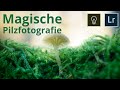 7 Tipps für magische PILZFOTOGRAFIE im Wald