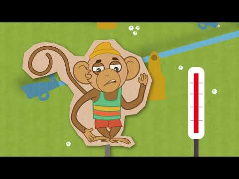 \"ჟოზე მეგობარია\" - მამინი და ვირუსი