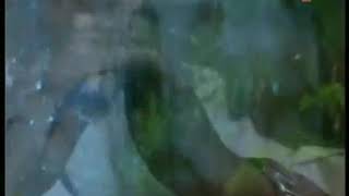 Apne Hathon Ki lakiron Mein Basa Le Mujhko/( hit ghazal)