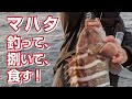 イワシの泳がせで狙う、高級魚マハタ釣り【外房大原沖】〜ゲストでヒラメとソイも