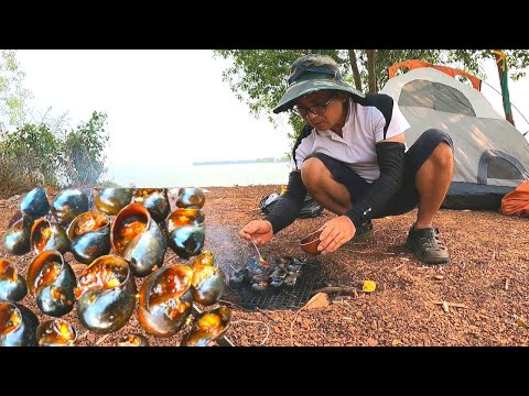 Video Cắm Trại Câu Cá Và Nấu Nướng l Bữa Ốc Bưu Nướng l... - youtube