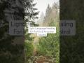 Light Language Healing for releasing Family & Ancestral Trauma #lightlanguage #lettinggo