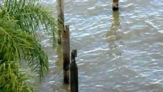 Paraná Tour Outdoor Activities In Rosario - 1434