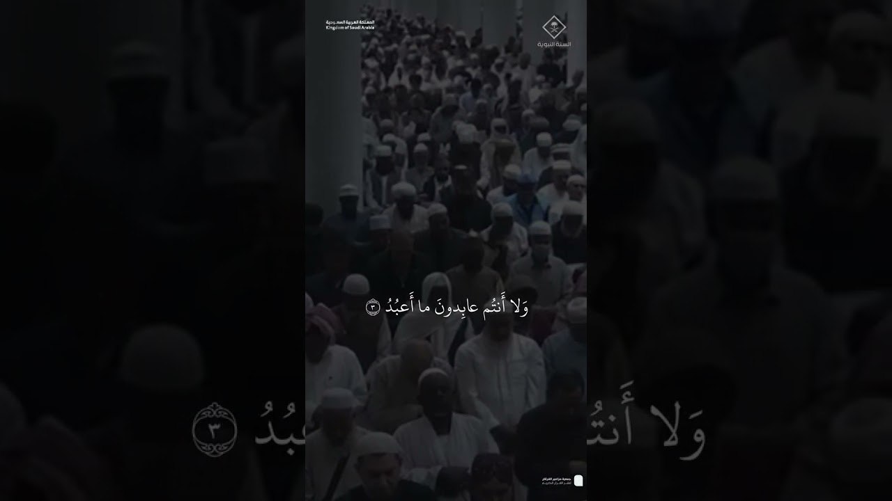 مقتطف من تلاوة الشيخ #عبدالمحسن_القاسم من مغرب 6 شعبان 1446هـ