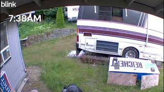 Burglary 7 11 26