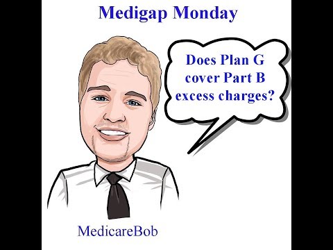 Medicare Part B Excess Charges - Does Medicare Plan G Cover Part B Excess Charges