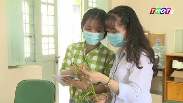 Sử dụng bã cà phê làm giá thể trồng rau thủy canh   Khoa học Công nghệ   THDT