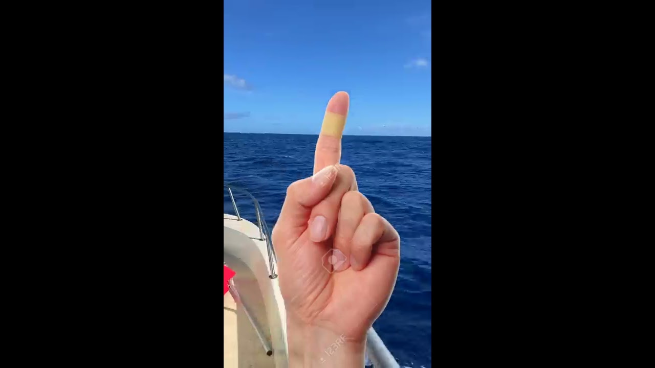 Can Sharks Smell A Drop Of Blood 