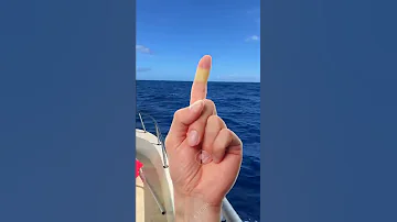 Can Sharks Smell A Drop Of Blood 