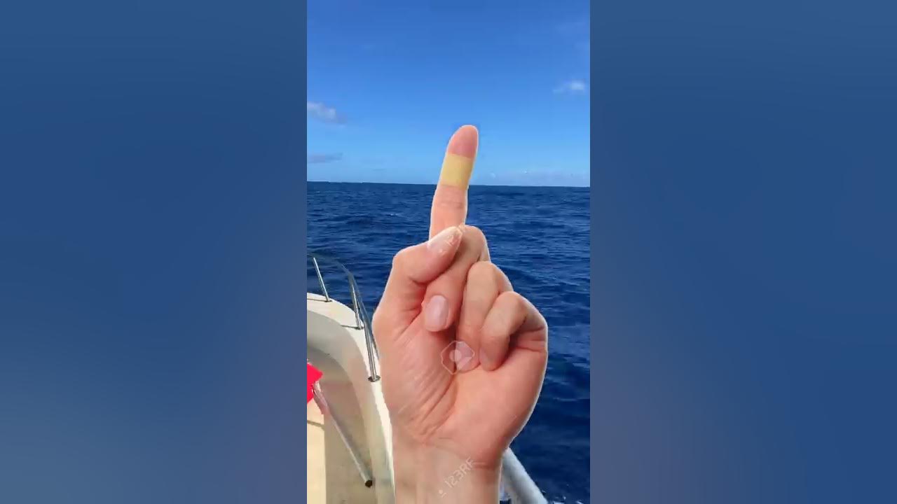 Can Sharks Smell A Drop Of Blood?