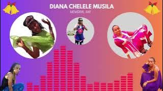 DIANA CHELELE SUPER MIX || MIX OF THE DECADE