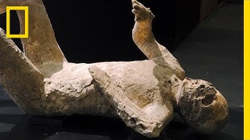 Pompeii: New Studies Reveal Secrets From a Dead City | National Geographic