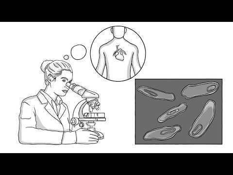 FLEXcyte 96 - Investigate in vitro cardiac contractility under physiological conditions FLEXcyte 96 - Investigate in vitro cardiac contractility under physiological conditions