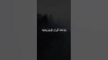 وإذا جاءك الذين يؤمنون بآياتنا فقل سلام عليكم كتب ربكم على نفسه الرحمة ..| ياسر الدوسري