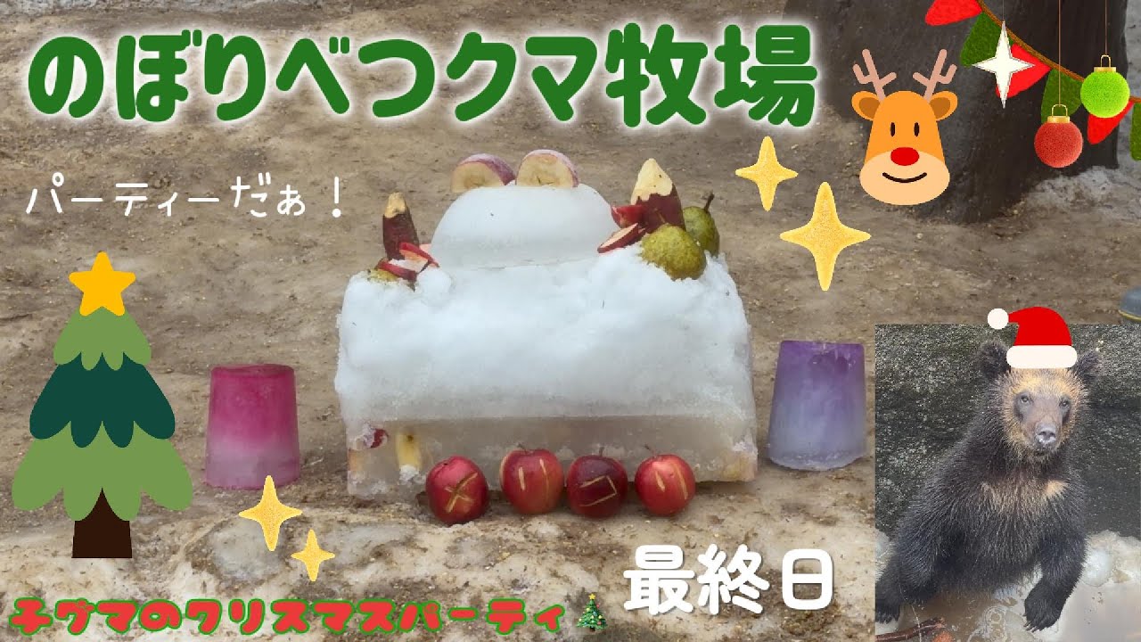 【2025/12④】子グマのクリスマスパーティ🎄最終日