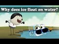 Why does ice float? | #aumsum #kids #science #education #children