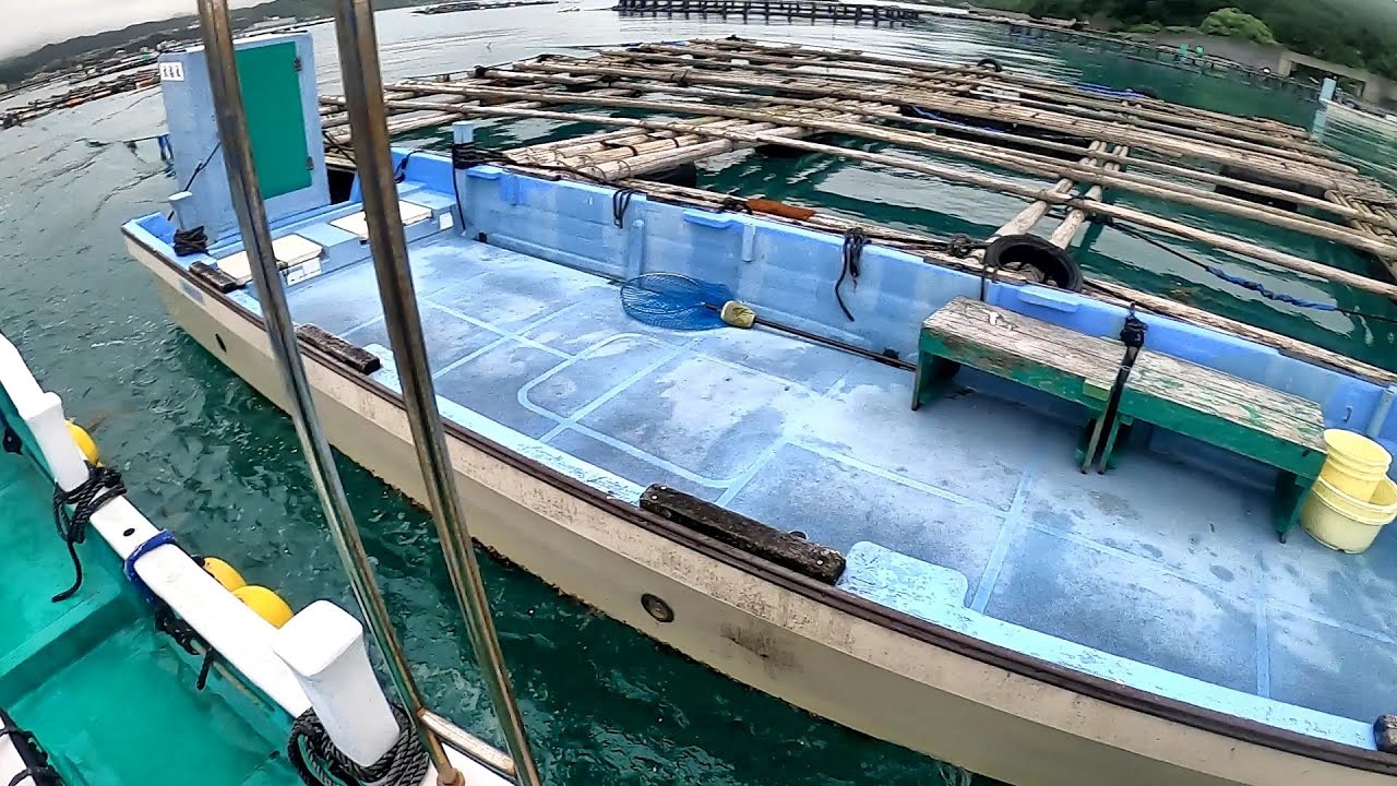 関西で有名なカセでかぶせ釣りしてみたら… 【関西遠征】