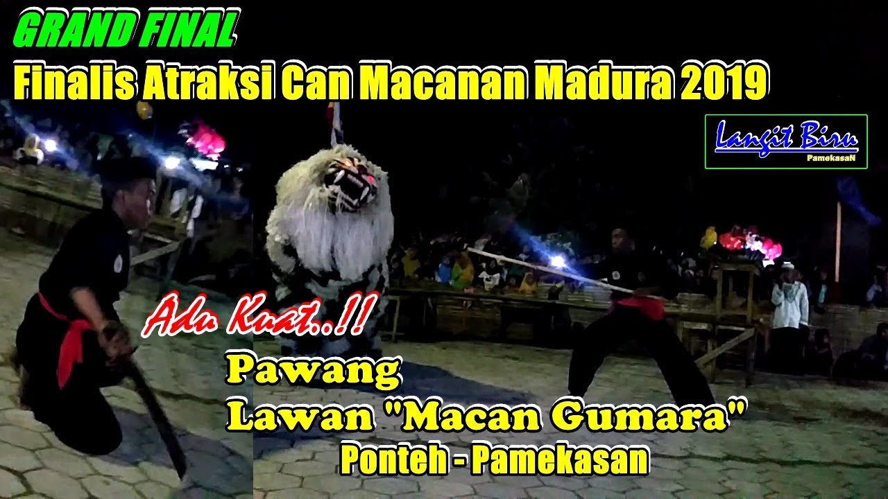 Finalis Atraksi Can Macanan Madura 2019 - Pawang Adu Kuat Lawan Macan Gumara