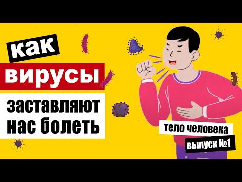 Как вирусы проникают в организм и заставляют нас болеть