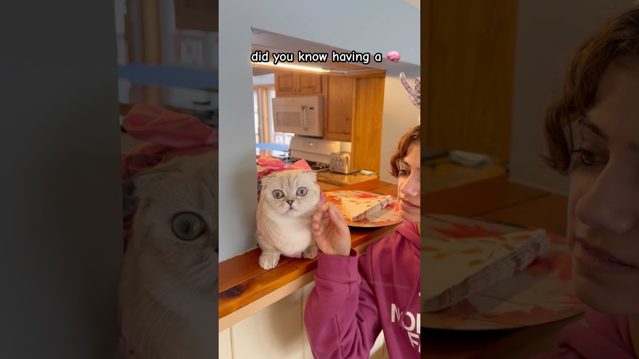 Я тоже в безопасности 😆🙈 