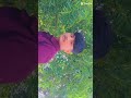 #eidmubarak #love #foryou #trending #ytshorts #shorts