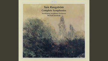 Symphony No. 4 in D Minor "Invocatio": IV. Recitativo ed arioso. Andante lento ed adagio