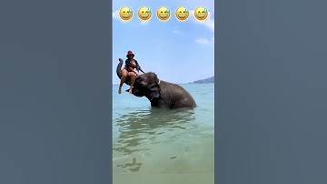 Funnyfails🤣🤣🤣🤣 #funny #memes #fails #funnyshorts