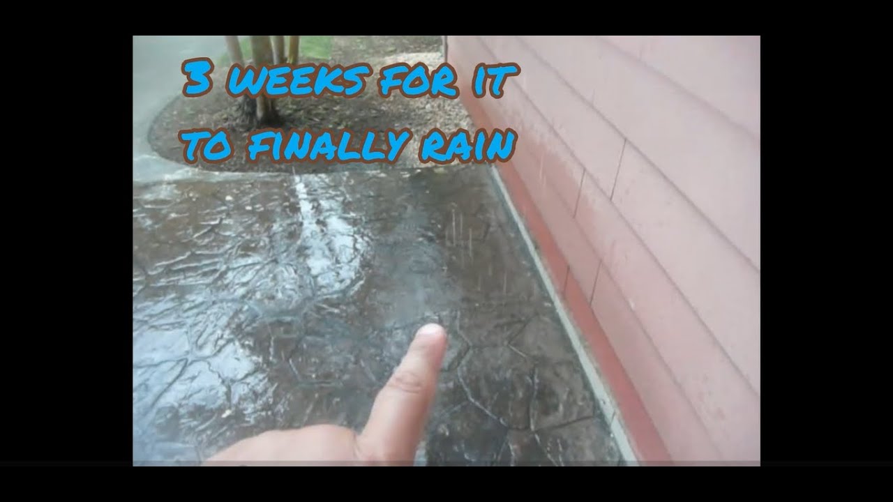Finally rained during day #rain #rainyday #rainynight - YouTube