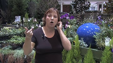 How to Grow Plants & Flowers : How to Keep Bees From Apple Trees