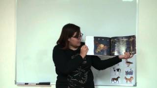 Video Demo of Elisa Estagle