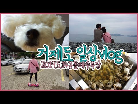[우앙TV]거제일상vlog 병원도 가고 동네마실 잠깐 다녀 온 날 2019 거제 바다로세계로 [eating show]mukbang korean food