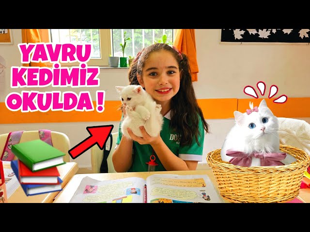 YAVRU KEDİMİZ LİNDA OKULA GİTTİ !! ELİFE SÜRPRİZ YAPTI !! بابا جاب لي بالون - جنى مقداد | طيور بيبي class=