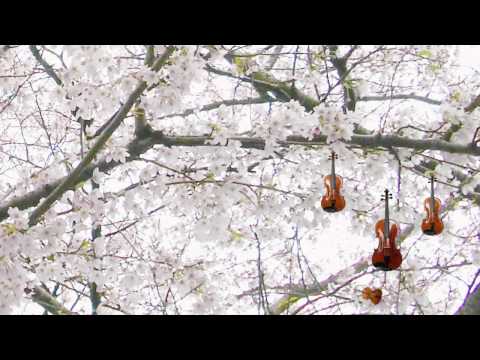 Ostinato 12 for String Quartet