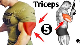 My Top 5 Exercises For Bigger Triceps - Triceps Workout